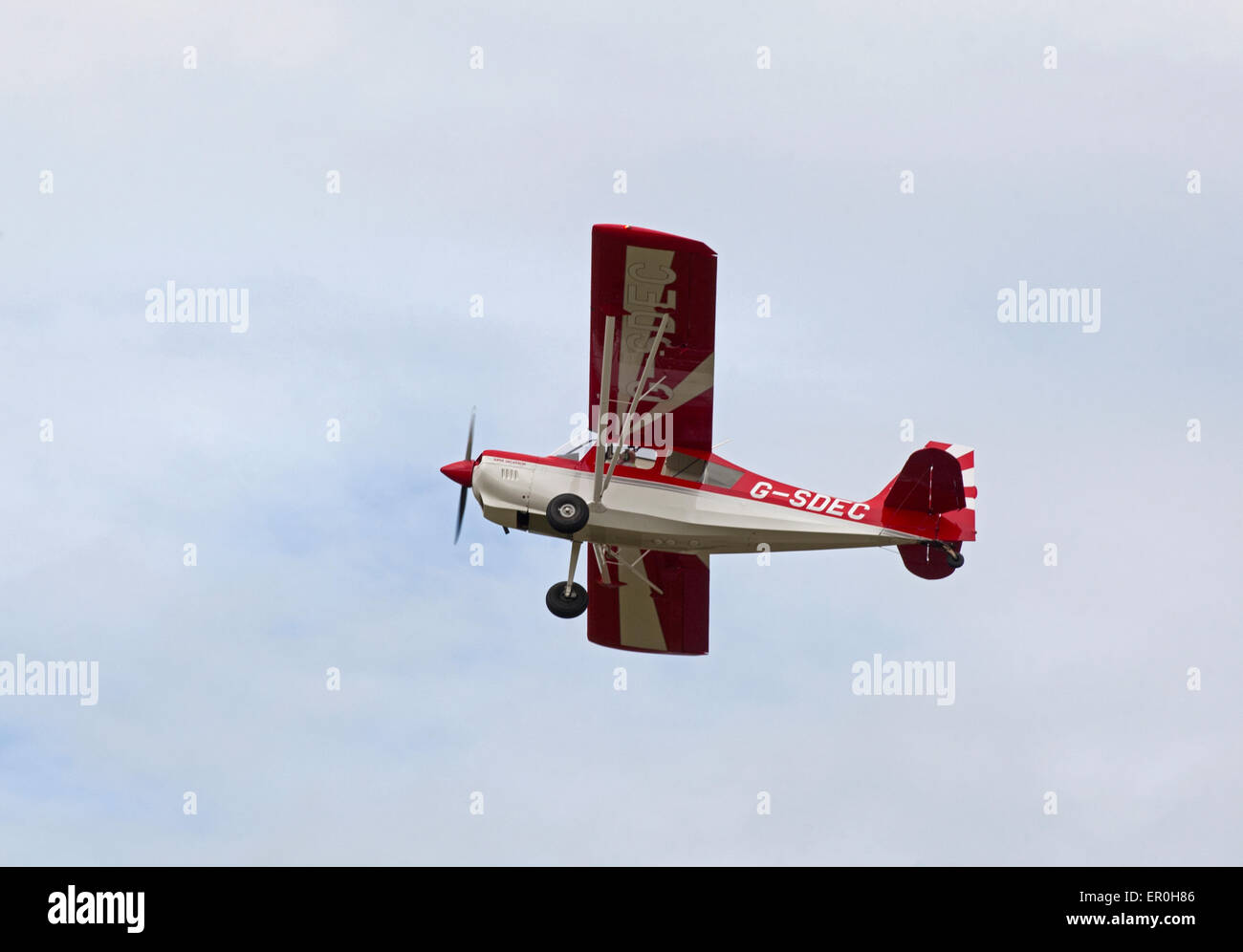 American Champion 8KCAB Flight Training und leichten Kunstflug Flugzeug.   SCO 9811. Stockfoto