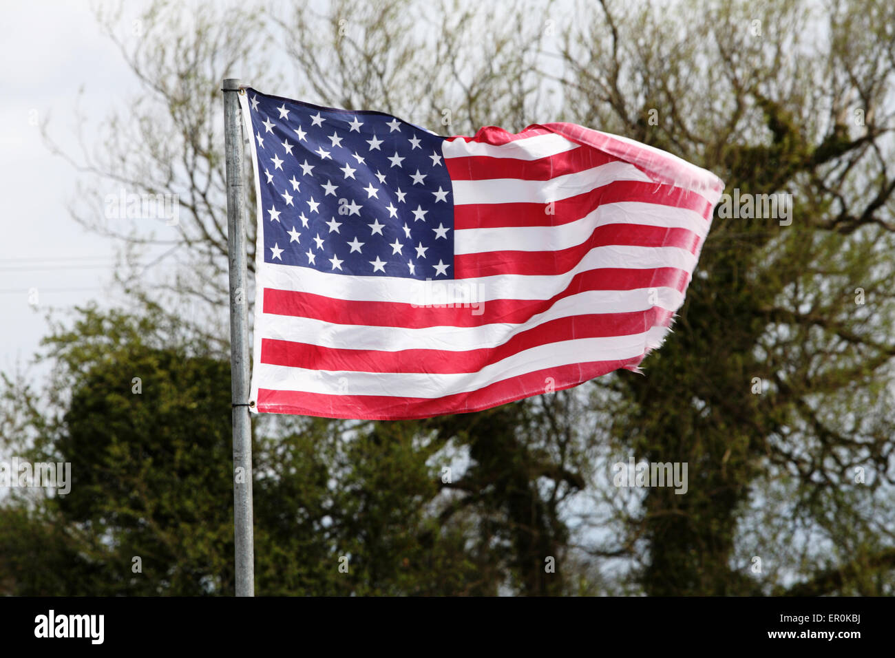 Amerikanische Flagge im wind Stockfoto