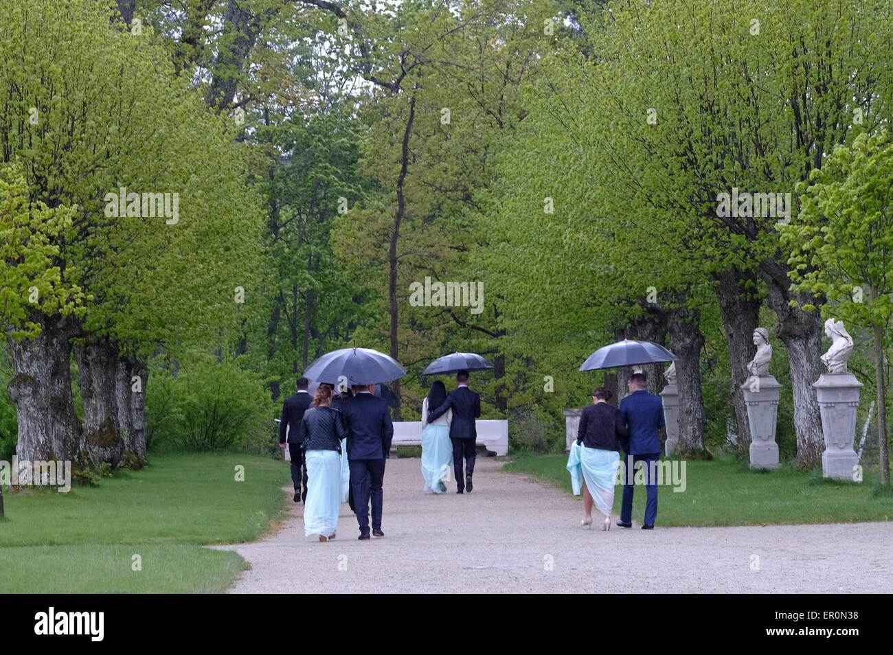 Paare in eleganter Kleidung, die im Regen auf dem Weg zu einer Hochzeitsfeier im Garten des Uzutrakis Manor Palace gehen, einem Wohnsitz aus dem späten 19. Jahrhundert der Familie Tyszkiewicz in Uzutrakis, am Ufer des Galve-Sees, gegenüber der berühmten Burg Trakai. Litauen Stockfoto