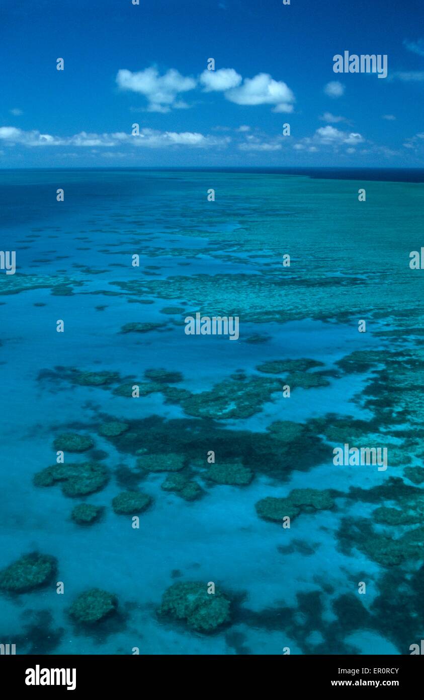 Australien, Queensland, nördlich von Whitsunday Islands, Greef Barrier Reef, Hook Riff (Luftbild) Stockfoto