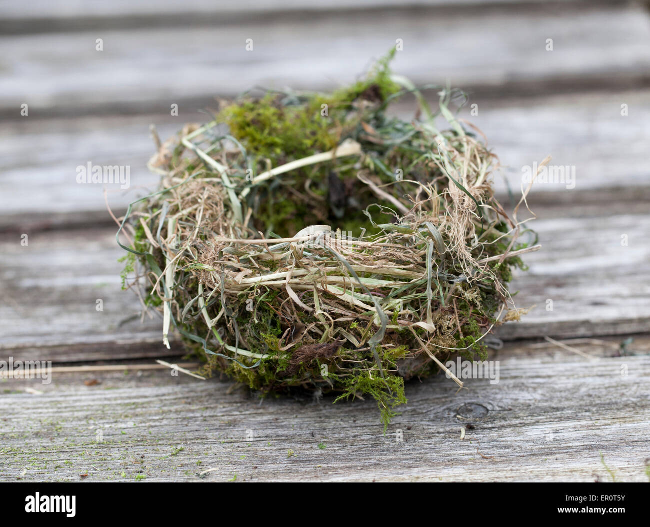Vogelnest Stockfoto