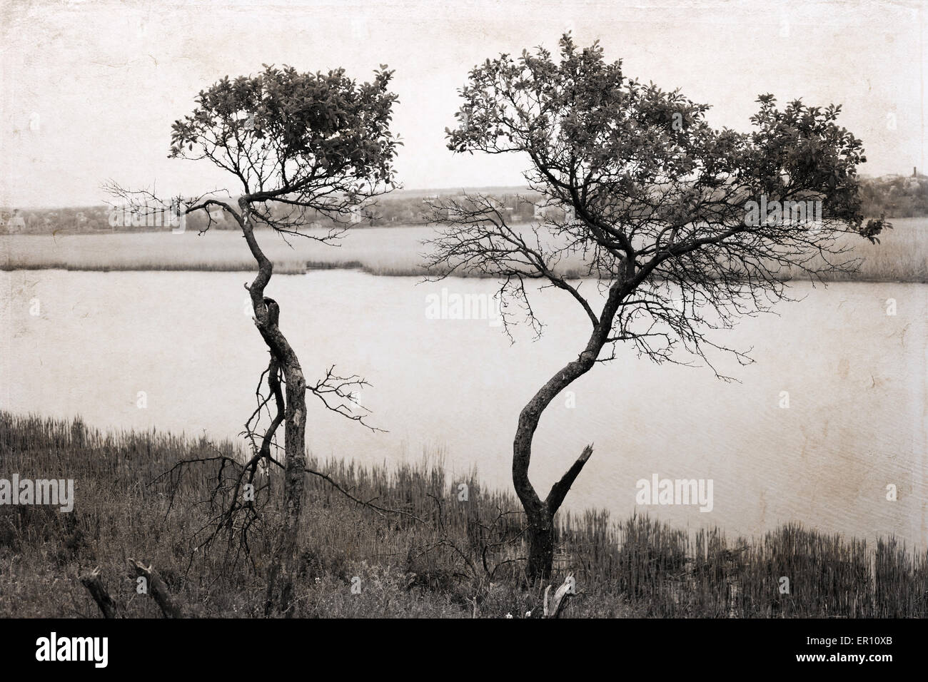 Kunstwerke im Retro-Stil, in der Nähe von Bäumen am Fluss Stockfoto