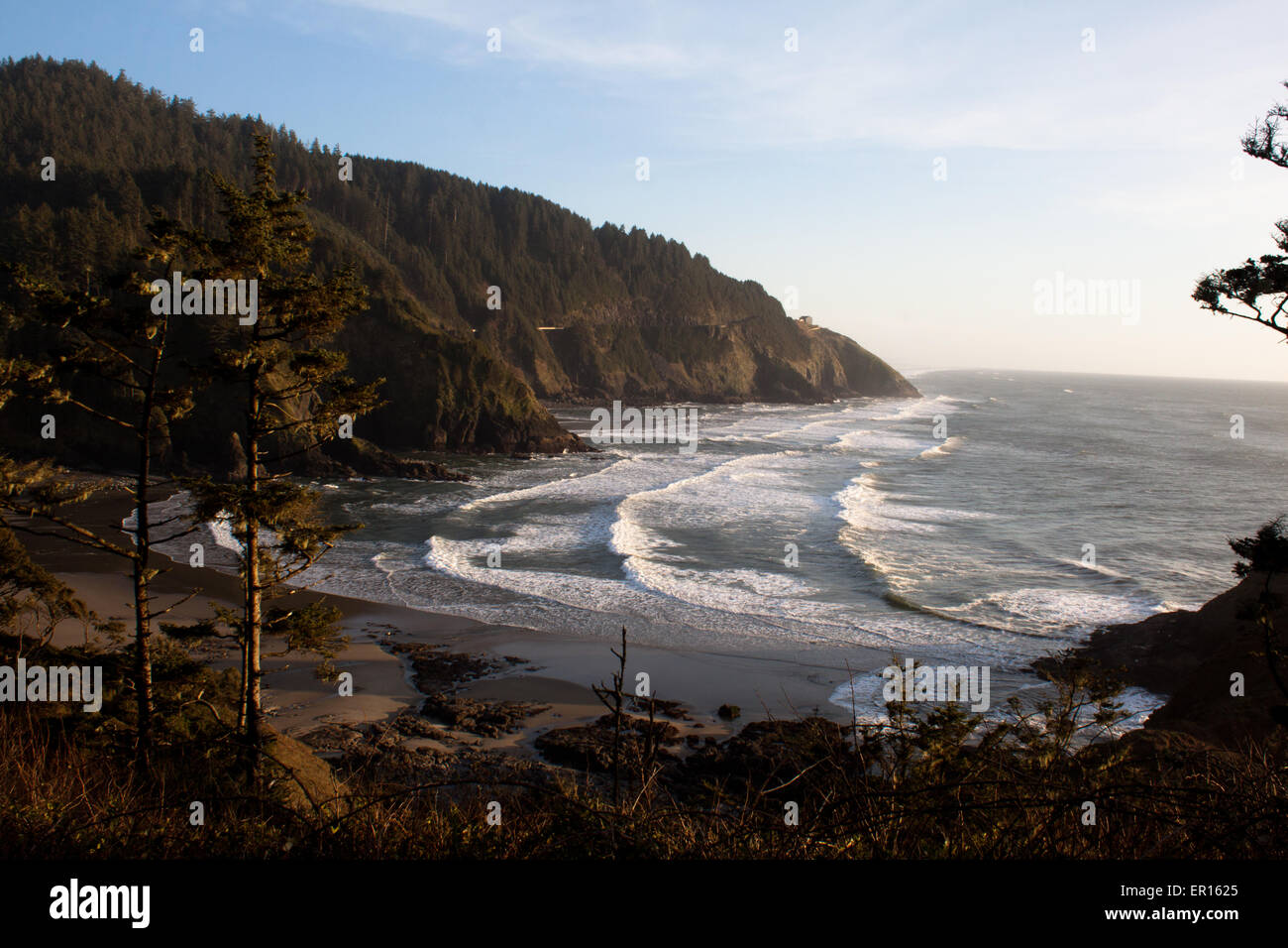 Oregon Küste in der Nähe von Heceta Head Lighthouse Stockfoto