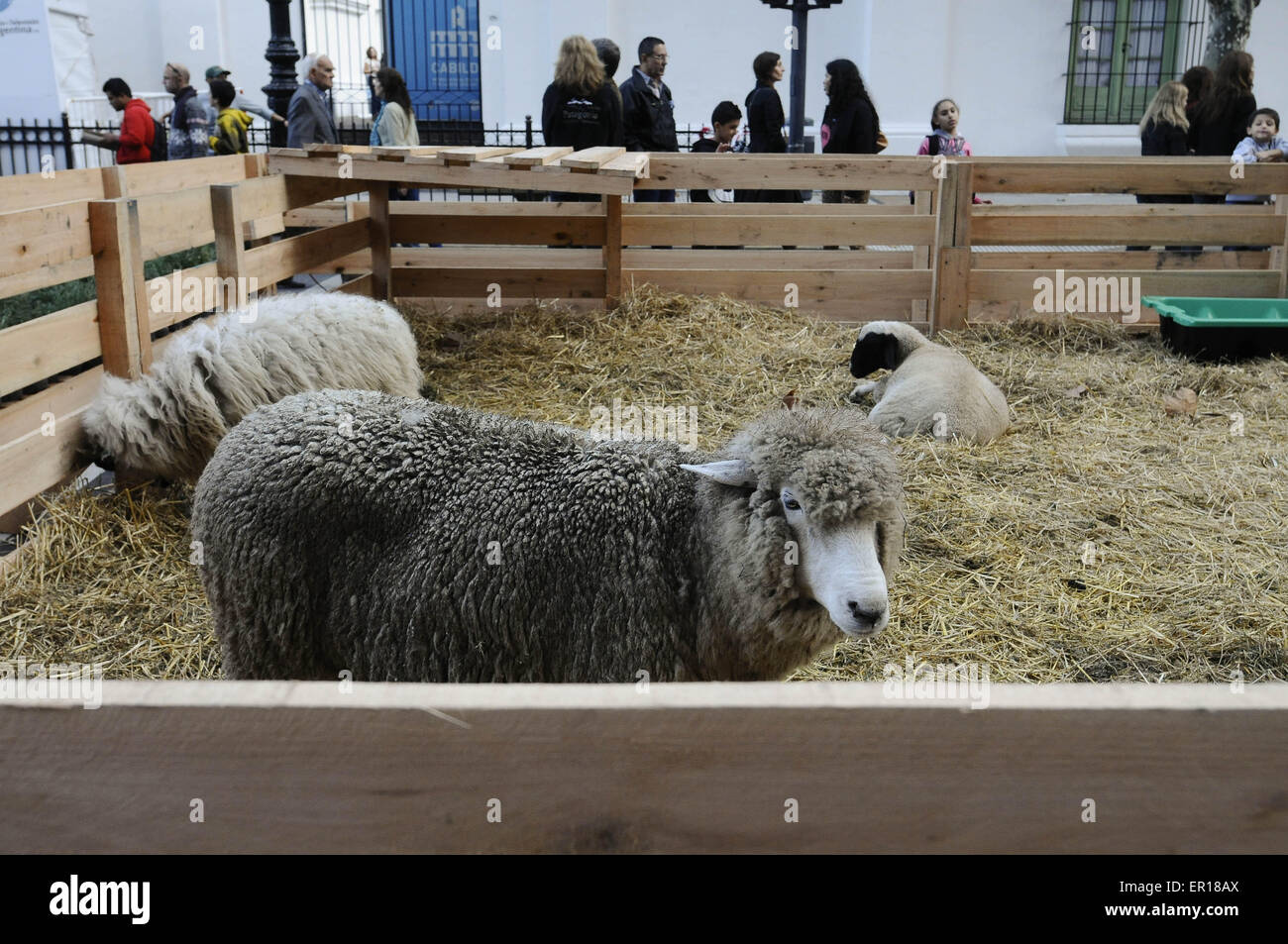 23. Mai 2015 - Buenos Aires, Buenos Aires, Argentinien - mit Stände mit typischen Produkte und Lebensmittel aus allen Ecken des Landes, eine Straße Ausstellung des Landes Produktion, Bildung, wissenschaftliche Innovation und ein Musik-Festival vor der Casa Rosada (Präsidentenpalast) Hunderttausende feiern den 205 Jahrestag der Mai-Revolution, der Ausgangspunkt von Argentiniens Unabhängigkeitskrieg. Die Veranstaltung hält großen politischen Bedeutung, als der letzte mit Präsidentin Cristina Fernandez Kirchner im Amt, und beabsichtigt, die Kirchners Erfolge zeigen, nach 12 Jahren der ki Stockfoto