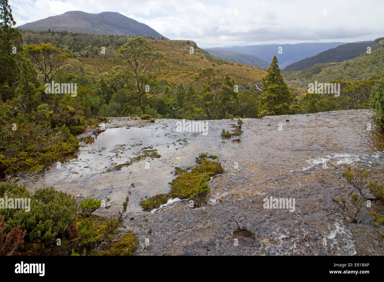 Wasserfall-Tal entlang Tasmaniens Overland Track Stockfoto