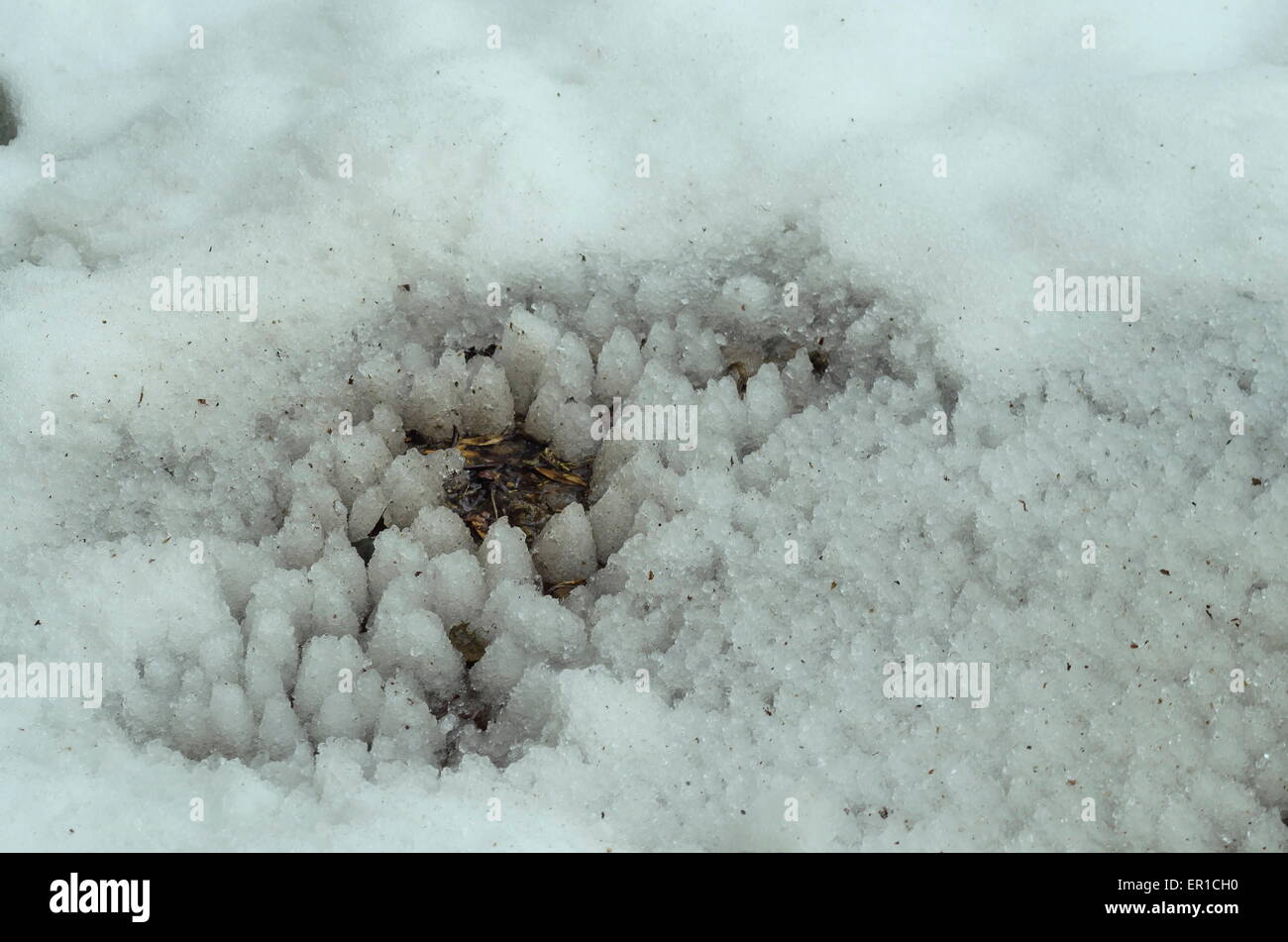 Hintergrund der Winter Spitze auf Schneefeld unten Tropfen Stockfoto