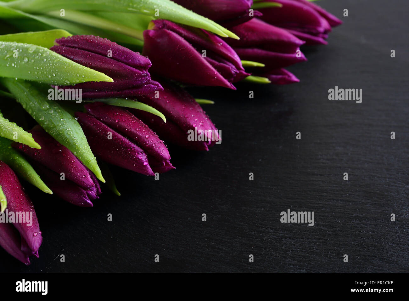 Tulpen auf dem Hintergrund der Schiefer, Blumen Stockfoto