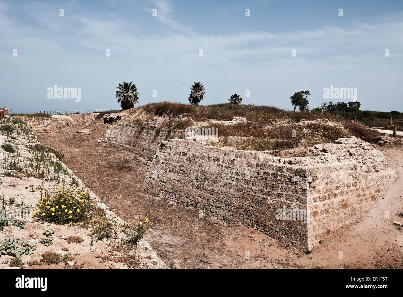 Apollonia-Nationalpark, Israel. 24. Mai 2015. Die süd-östlichen Ecke der Kreuzfahrer Stadt Arsouf (wie unter der Herrschaft der Kreuzritter genannt) zeigt der umgebenden Mauer und graben. Apollonia-Nationalpark, benannt nach der Gott Apollo, befindet sich auf einer Klippe namens Tel Arshaf mit Blick auf das Mittelmeer, nördlich von Tel Aviv. In der persischen Zeit (6. Jahrhundert BCE), es durch die Kreuzfahrer in 1191 CE von den Muslimen erobert wurde, von den Phöniziern gegründet. Die Festung wurde im Jahre 1241 CE gebaut dominiert den Hafen. Die Kreuzfahrer Stadt war eingemauert und von einem Wassergraben umgeben. Bildnachweis: Nir Alon/Alamy Live-Nachrichten Stockfoto