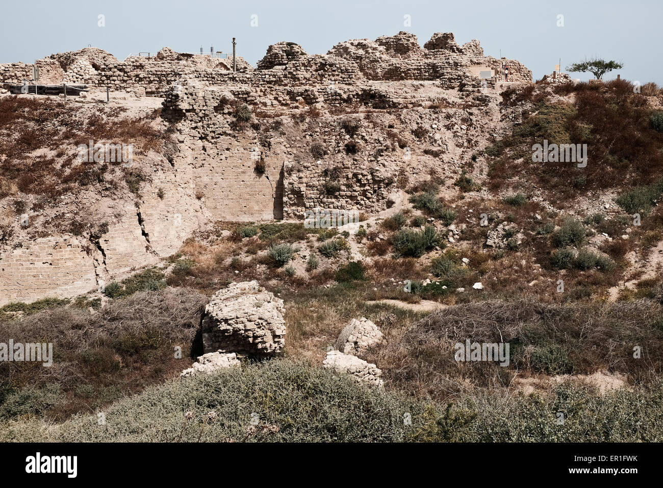 Apollonia-Nationalpark, Israel. 24. Mai 2015. Apollonia-Nationalpark, benannt nach der Gott Apollo, befindet sich auf einer Klippe namens Tel Arshaf mit Blick auf das Mittelmeer, nördlich von Tel Aviv. In der persischen Zeit (6. Jahrhundert BCE), es durch die Kreuzfahrer in 1191 CE von den Muslimen erobert wurde, von den Phöniziern gegründet. Die Festung wurde im Jahre 1241 CE gebaut dominiert den Hafen. Die Kreuzfahrer Stadt war eingemauert und von einem Wassergraben umgeben. Bildnachweis: Nir Alon/Alamy Live-Nachrichten Stockfoto