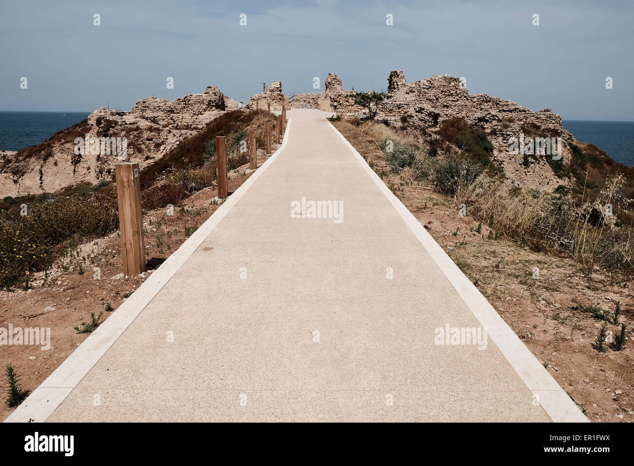 Apollonia-Nationalpark, Israel. 24. Mai 2015. Die Crusader Festung Arsouf (wie unter der Herrschaft der Kreuzritter genannt) wurde durch einen trockenen Graben geschützt und Eintrag wurde durch eine Holzbrücke. Apollonia-Nationalpark, benannt nach der Gott Apollo, befindet sich auf einer Klippe namens Tel Arshaf mit Blick auf das Mittelmeer, nördlich von Tel Aviv. In der persischen Zeit (6. Jahrhundert BCE), es durch die Kreuzfahrer in 1191 CE von den Muslimen erobert wurde, von den Phöniziern gegründet. Die Festung wurde im Jahre 1241 CE gebaut dominiert den Hafen. Die Kreuzfahrer Stadt war eingemauert und von einem Wassergraben umgeben. Bildnachweis: Nir Alon/Alamy Live-Nachrichten Stockfoto