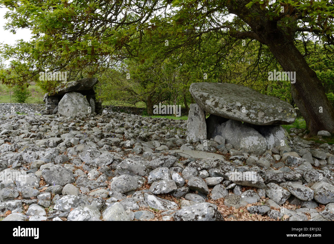 Dyffryn Ardudwy neolithische Grabkammer Gwynedd Wales Cymru UK Gb Stockfoto