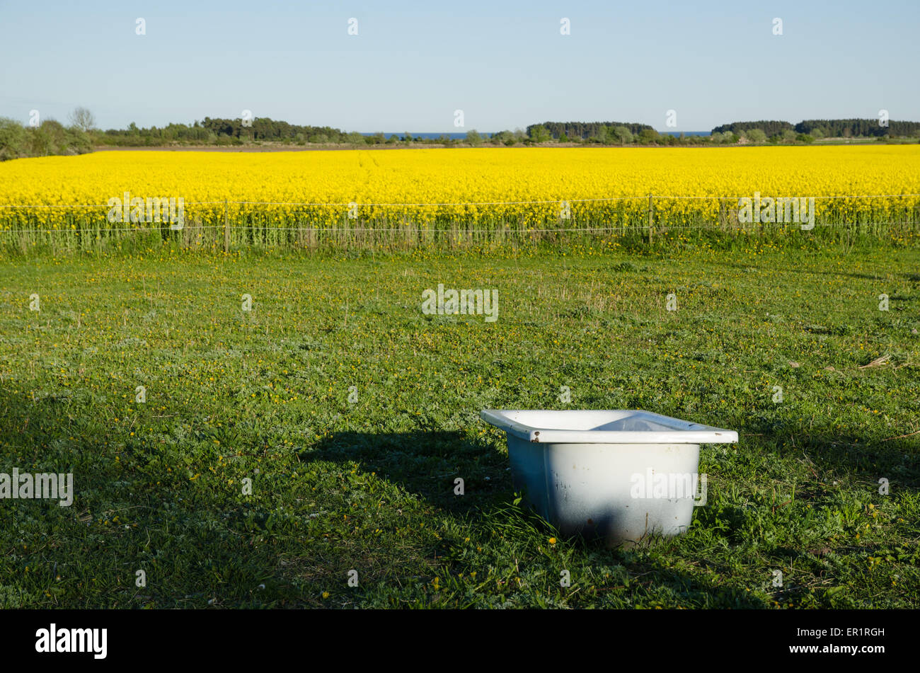Badewanne als einen Wassertank in einer schwedischen Ackerland verwendet Stockfoto