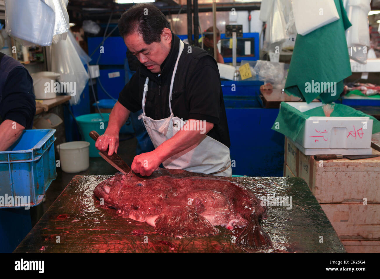 Berühmten Tsukiji Fischmarkt Geschäfte. Tsukiji ist der größte Fischmarkt der Welt, mit einer riesigen Varaiety Fisch und Meeresfrüchte essen Stockfoto