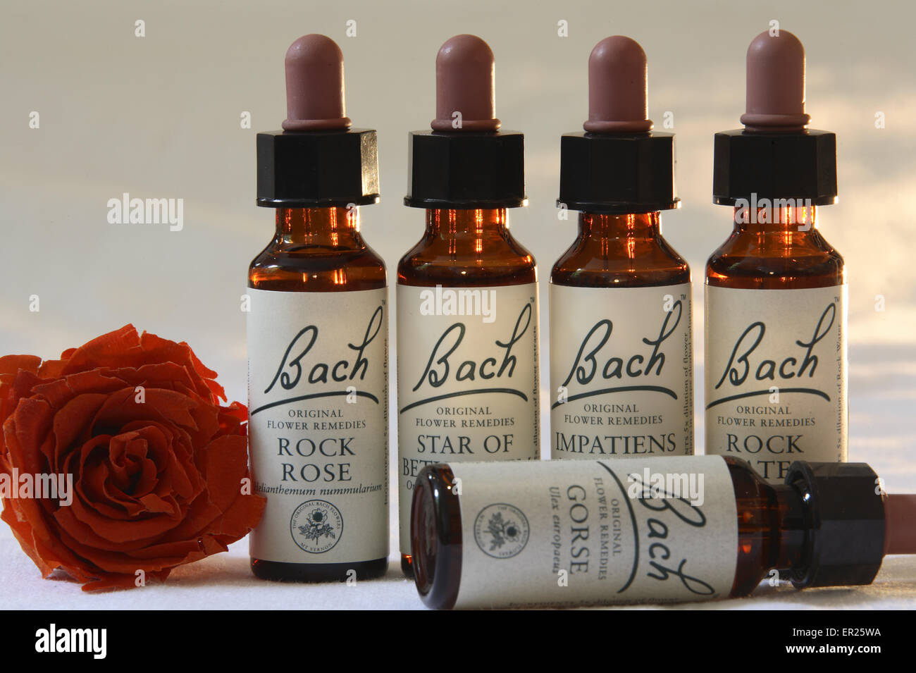 DEU, Deutschland, füllen Flaschen der Bachblüten.  DEU, Deutschland, Flaeschchen Mit Bachbluetenkonzentraten. Stockfoto