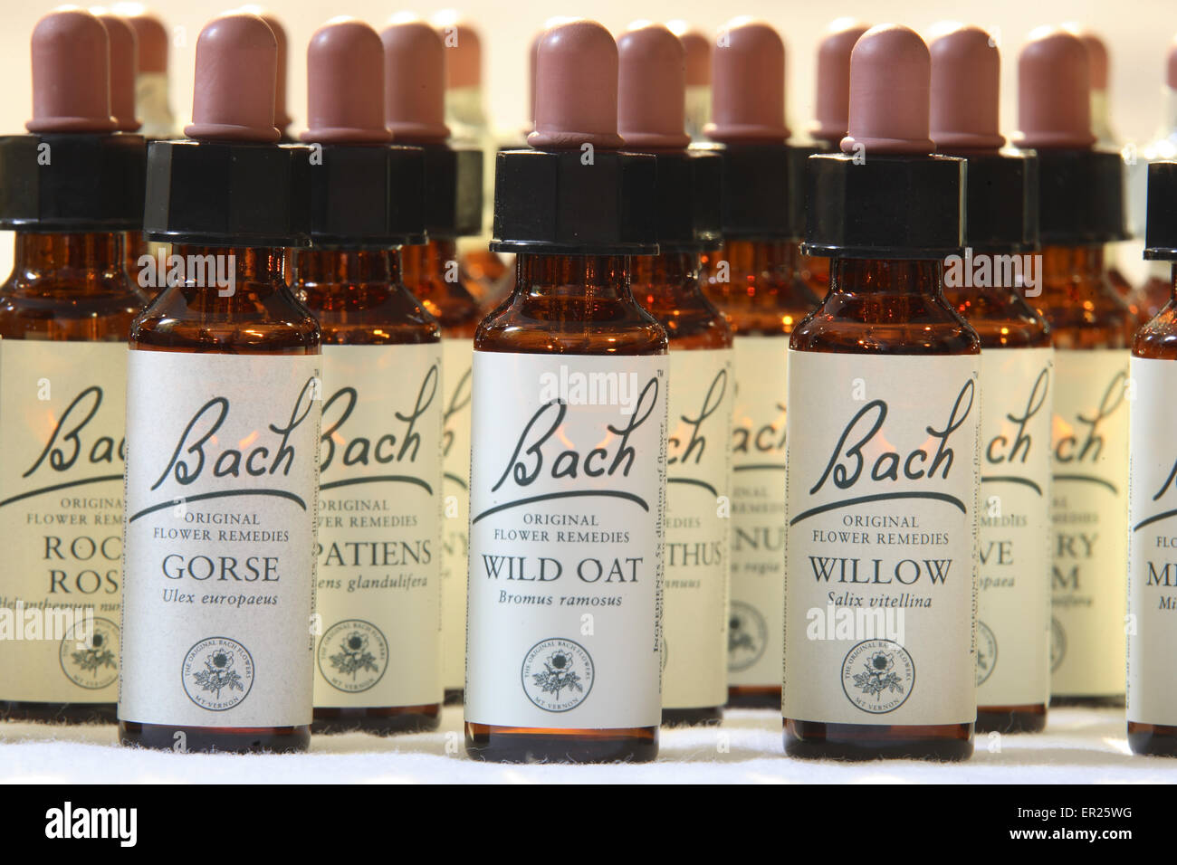 DEU, Deutschland, füllen Flaschen der Bachblüten.  DEU, Deutschland, Flaeschchen Mit Bachbluetenkonzentraten. Stockfoto