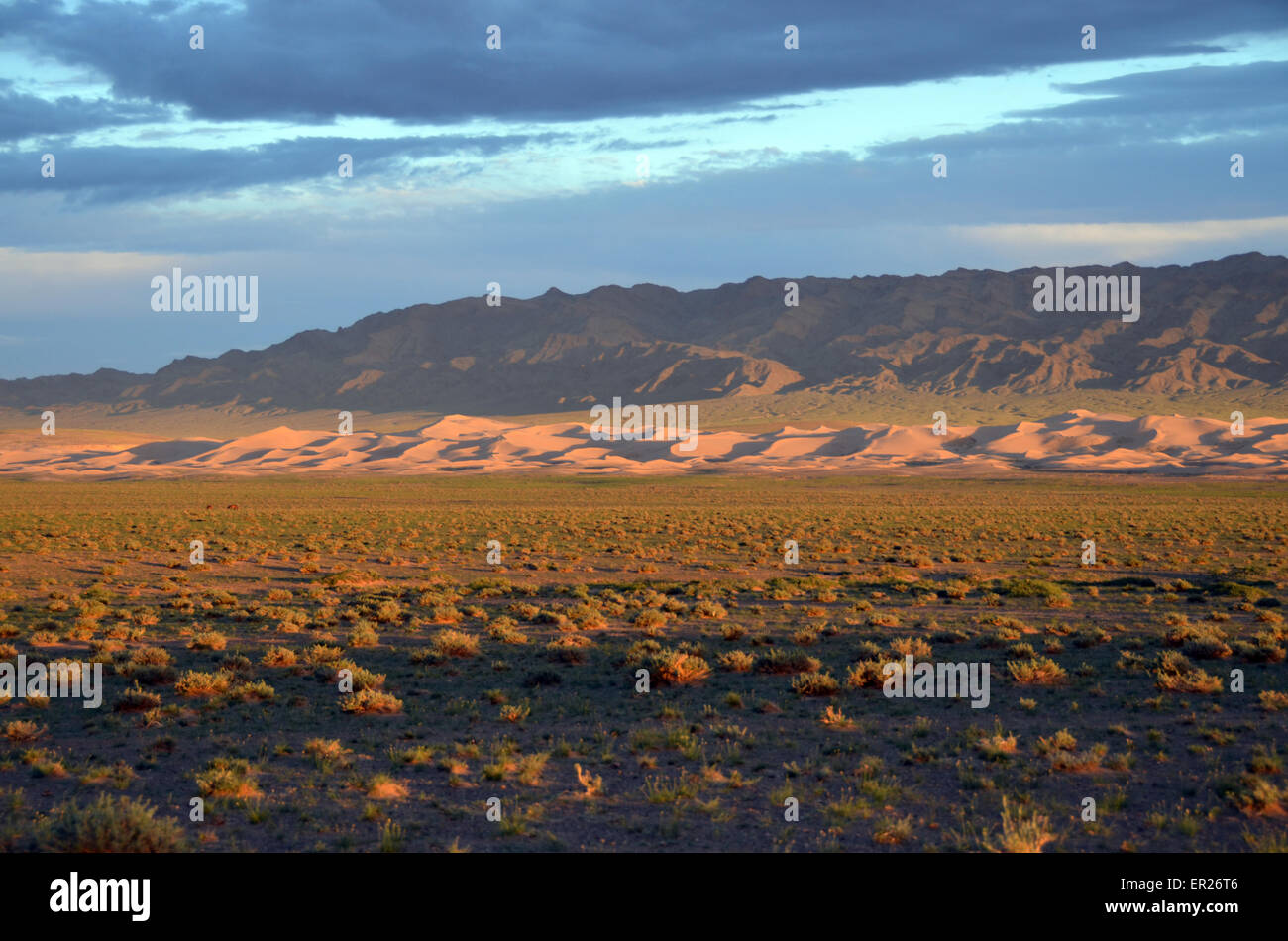 Die Khongoryn Sanddünen bei Sonnenuntergang in der Wüste Gobi, Omnogovi Provinz der Mongolei. einsam, Leere Stockfoto