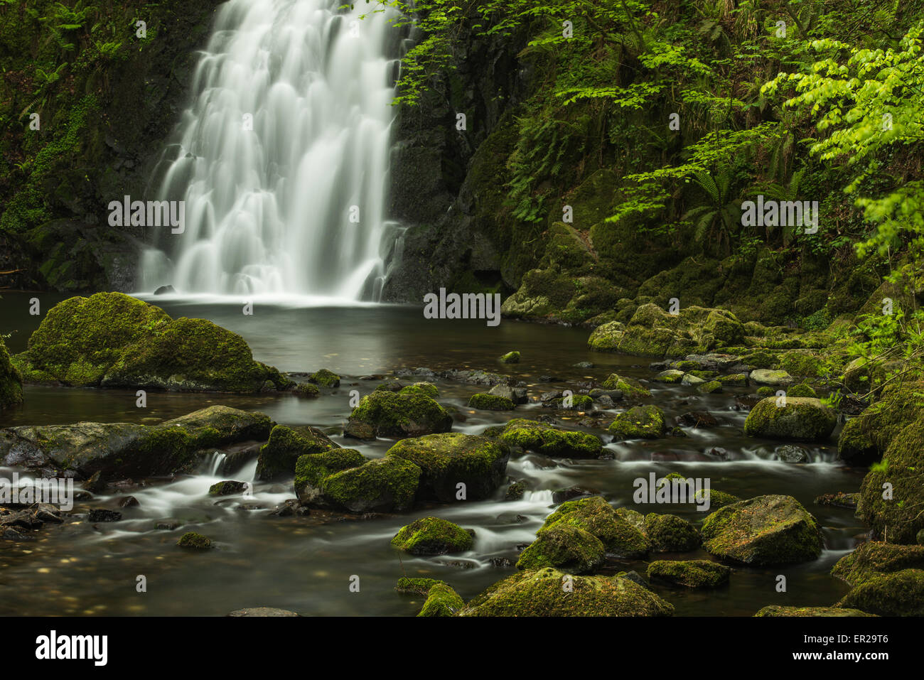 Gleno Wasserfall, County Antrim, Nordirland Stockfoto