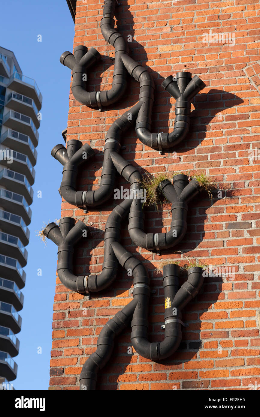 Buster Simpson Fallrohr Pflanzer System, ein Teil des wachsenden Vine Street Project in Belltown Stockfoto