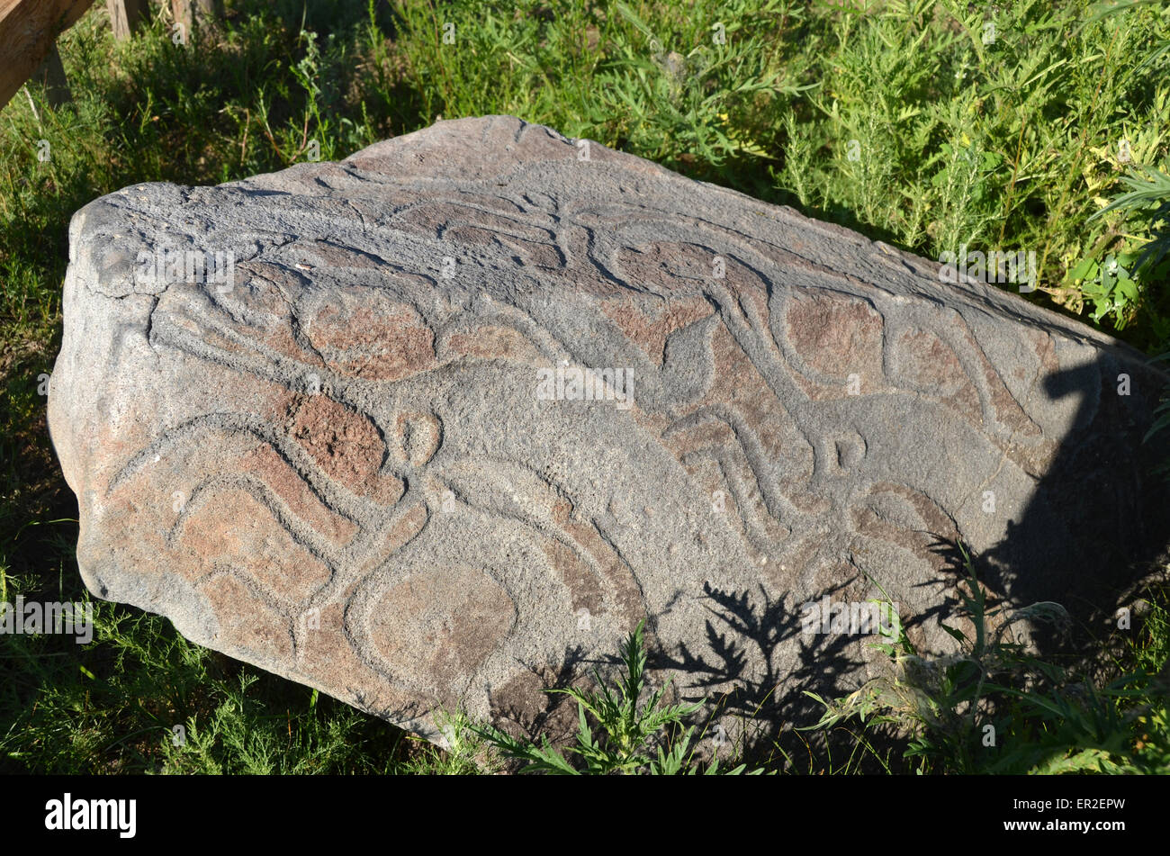 Detail von einem Hirsch Stein in dem Dorf Orkhon, Bulgan Provinz, Mongolei. Hirschsteine sind antiken gravierten Denkmäler. Stockfoto