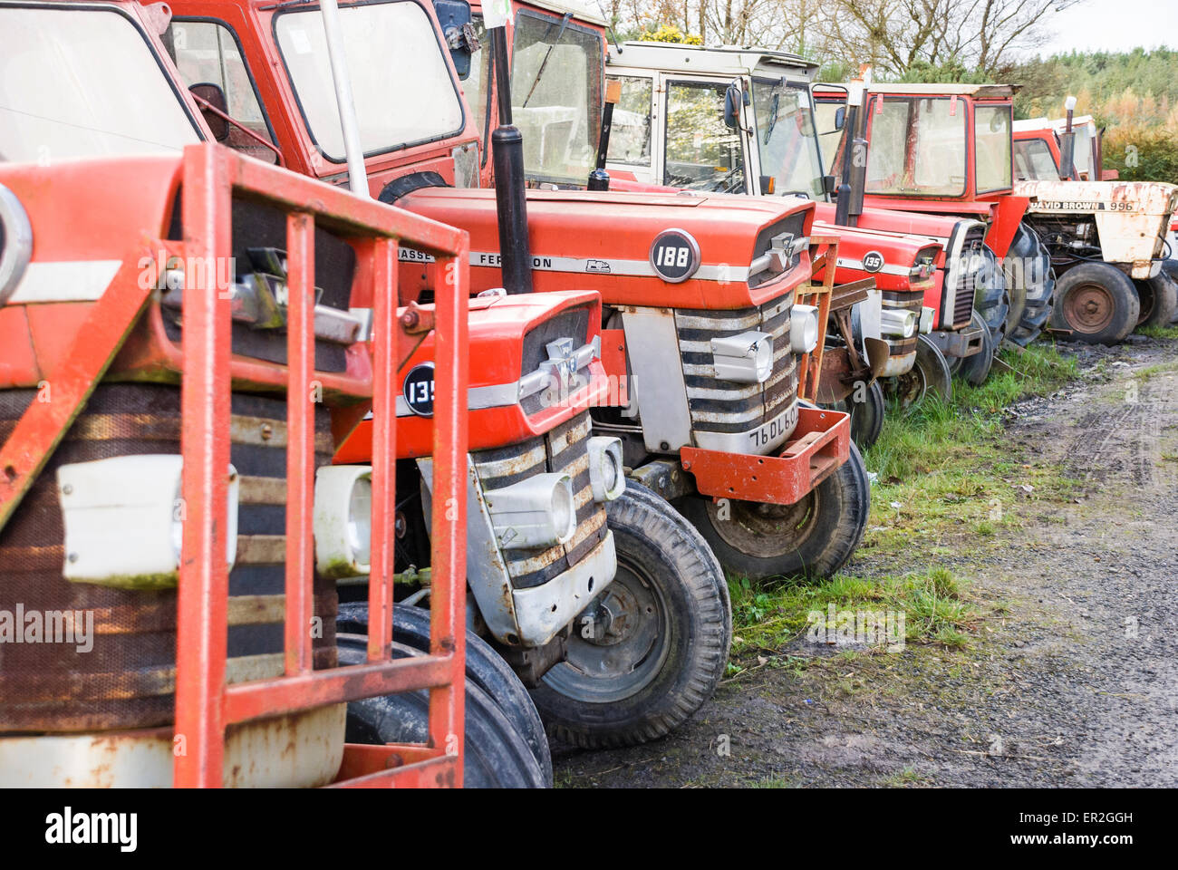 Zahl Alter Massey Ferguson Traktoren auf einem Bauernhof Stockfoto