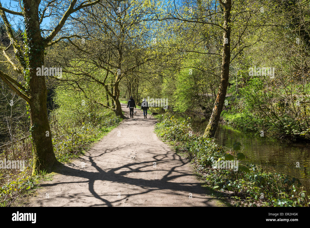 Zwei Personen Spaziergang mit seinem Hund im Etherow Country Park, Stockport, England, an einem sonnigen Frühlingstag. Stockfoto