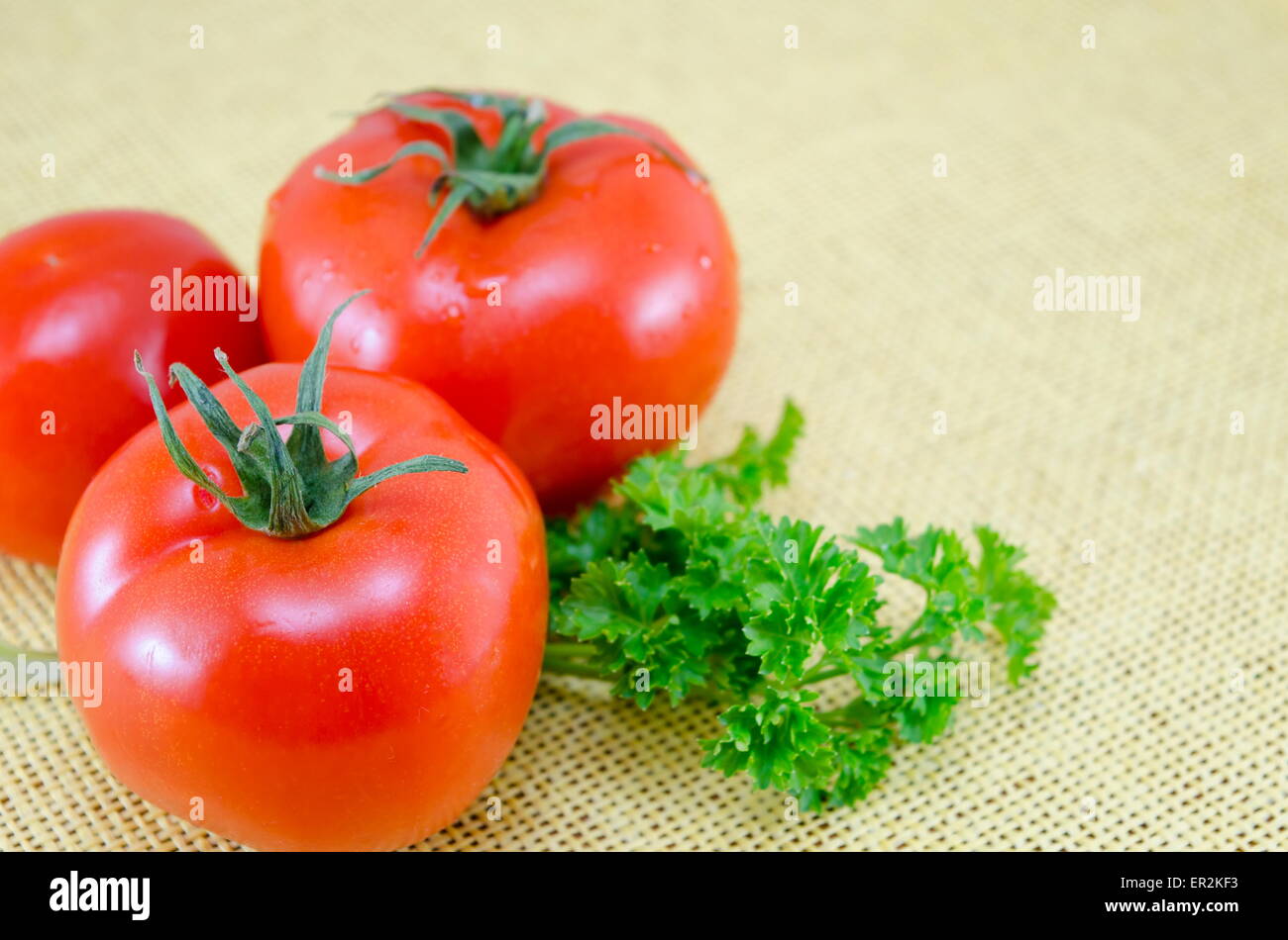 Rohe Tomaten auf einem gedeckten Tisch mit frischer Petersilie Stockfoto