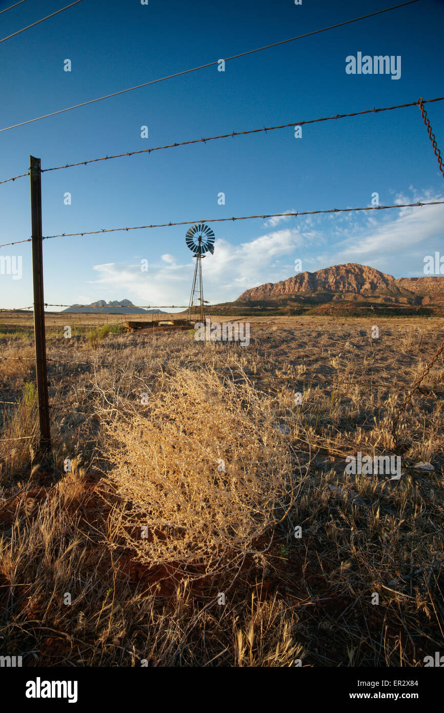 Braune Tumbleweed gegen einen Stacheldraht Zaun im südlichen Utah geblasen. Stockfoto