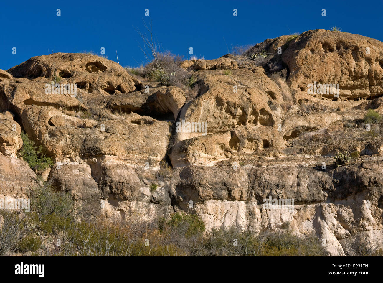 Las Cuevas Amarillas Höhlen vulkanischen Tuff-Soft-Rock, Bofecillos Berge, Chihuahua-Wüste, Big Bend Ranch State Park, Texas Stockfoto