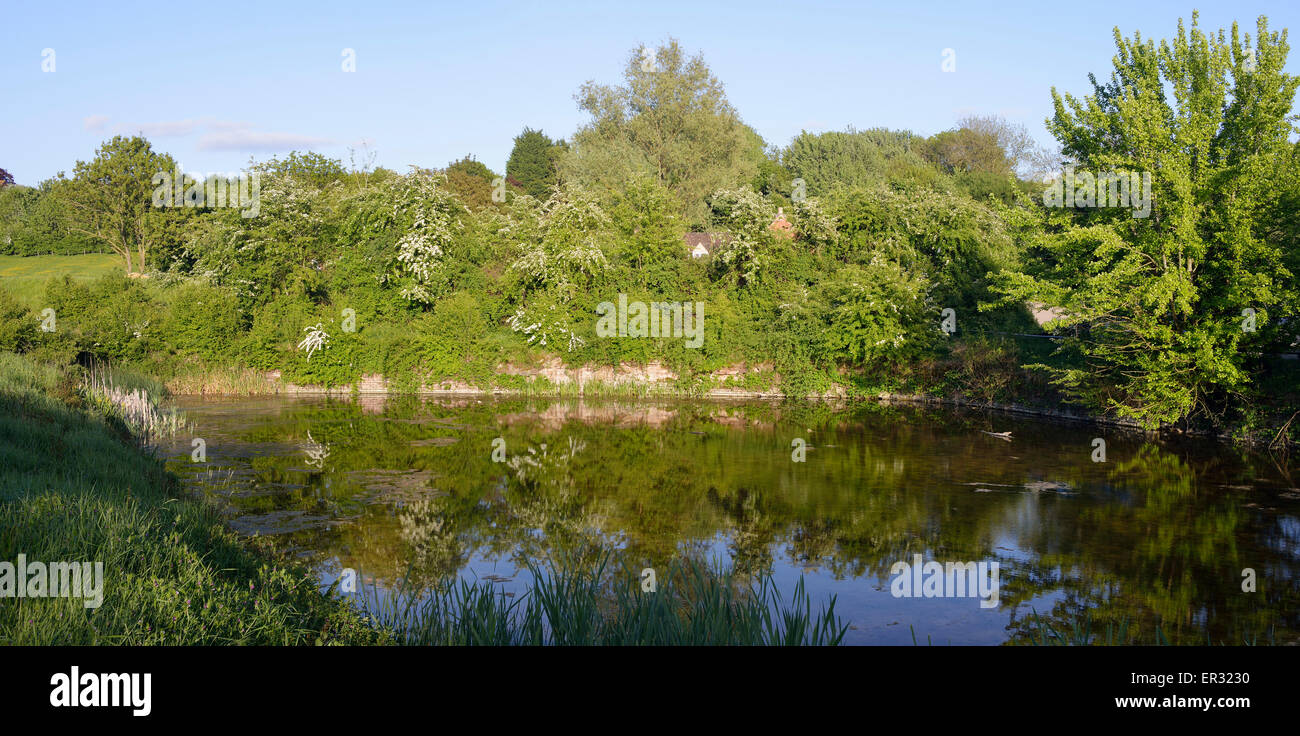 Kohle-Wharf am Coombe Hügel Kanal, Tewkesbury verwendet, um Kohle zu Cheltenham im 19. Jahrhundert Stockfoto