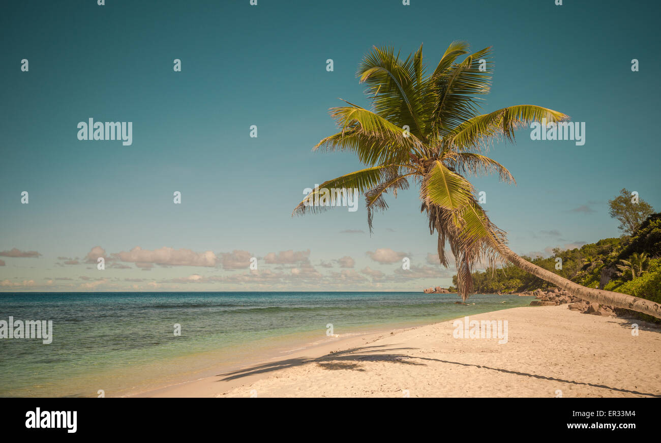 Retro-Stil Bild des tropischen Insel Strand Stockfoto Retro-Stil Bild des tropischen Insel Strand Stockfoto
