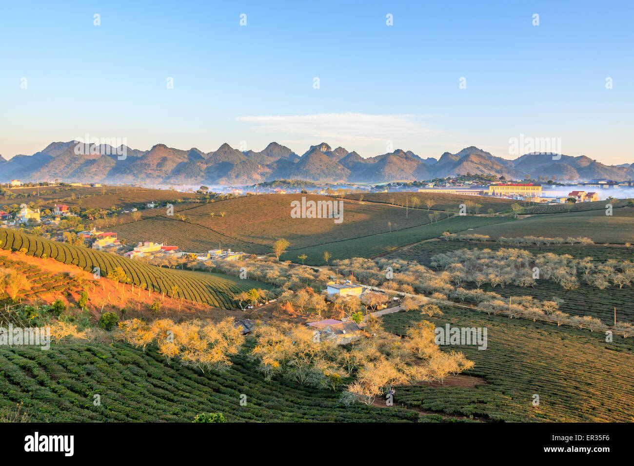 Moc Chau Stadt Morgen am 26. März 2015 in Son la Provinz, Vietnam Stockfoto