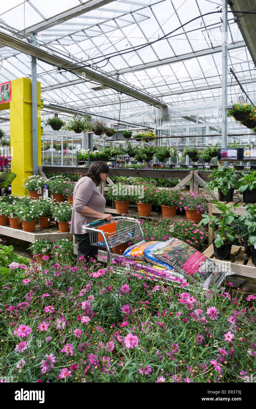 Frau shopping für Pflanzen in einem Gewächshaus Garten-Center.  -MODELL VERÖFFENTLICHT. Stockfoto