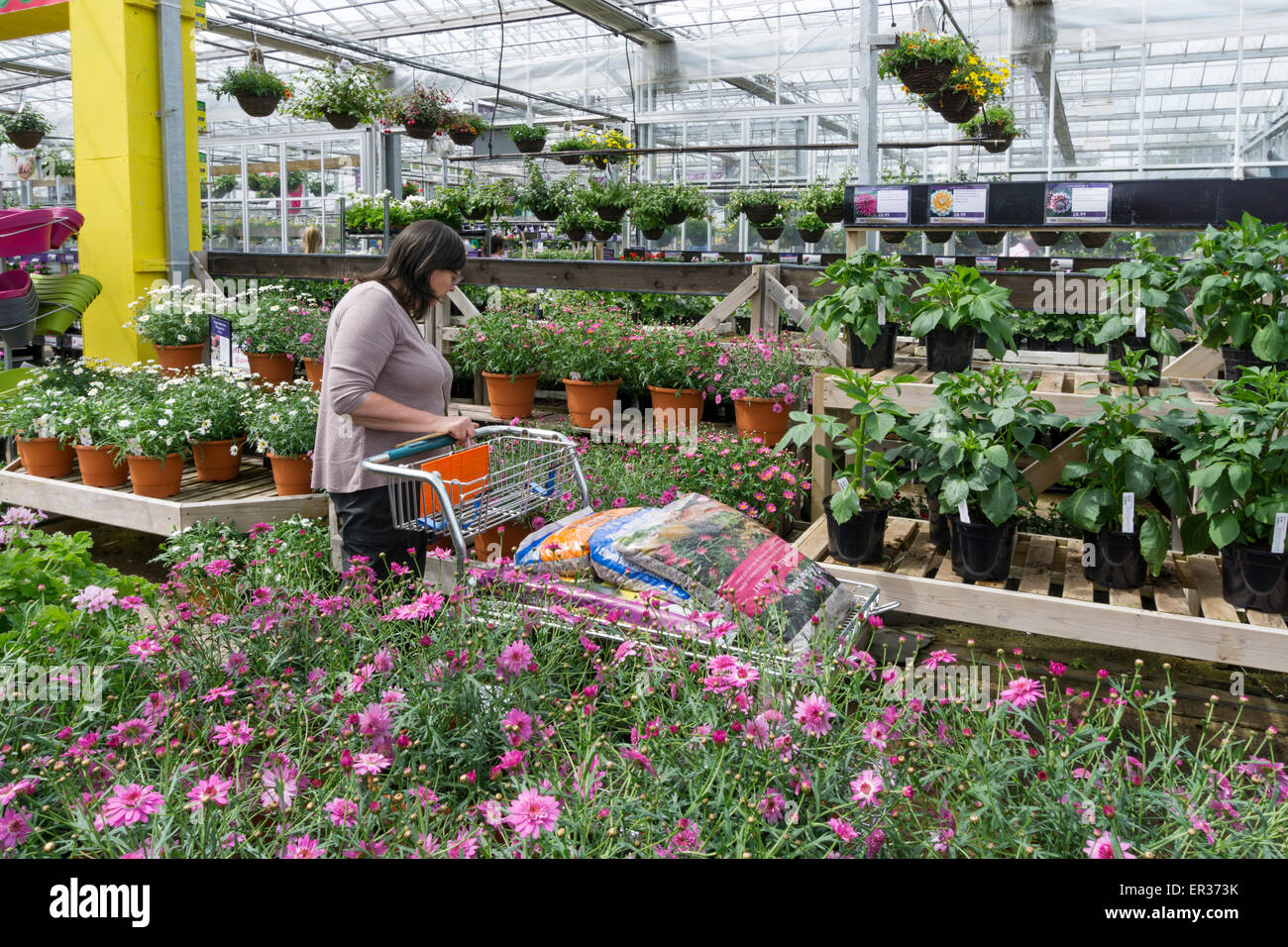 Frau shopping für Pflanzen in einem Gewächshaus Garten-Center.  -MODELL VERÖFFENTLICHT. Stockfoto