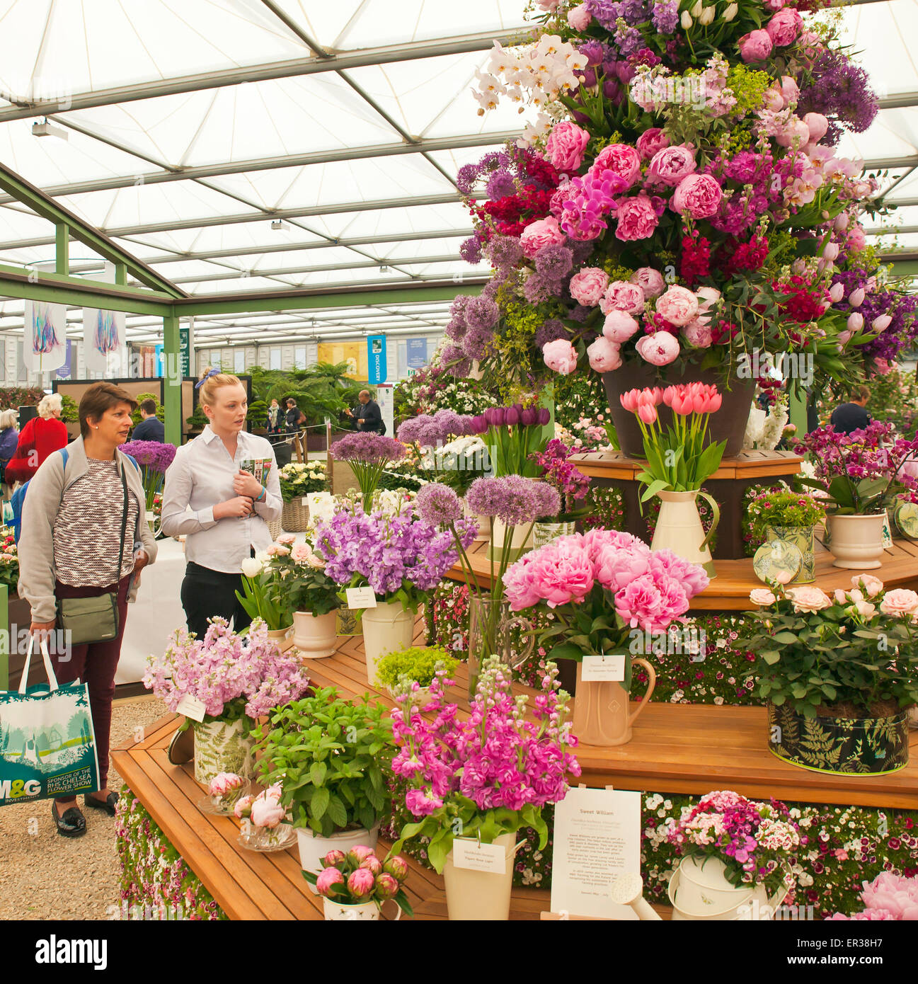 Chelsea Flower Show, im Inneren des großen Pavillons. Stockfoto