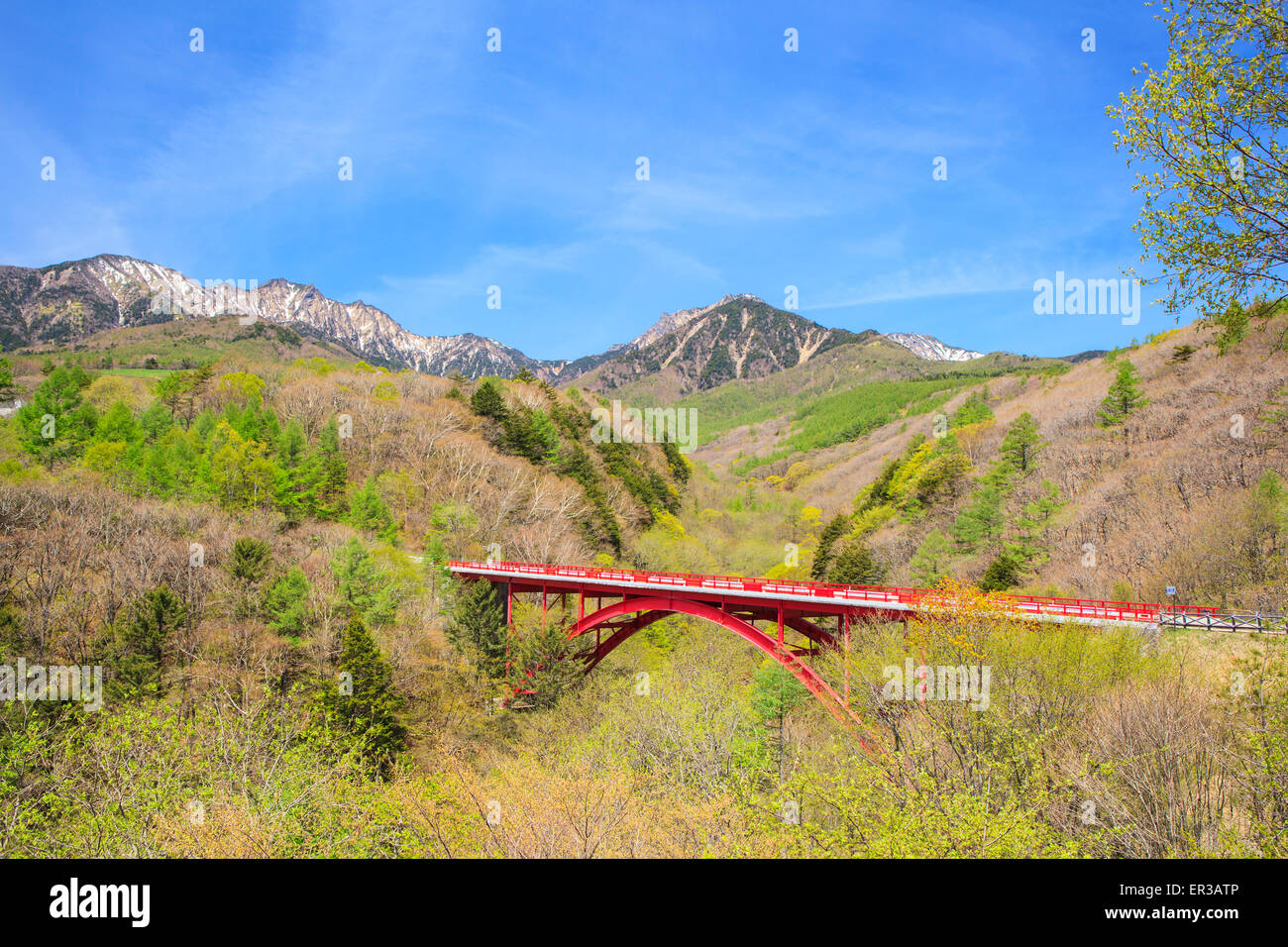 Frisches Grün Yatsugatake und rote Brücke, Yamanashi, Japan Stockfoto