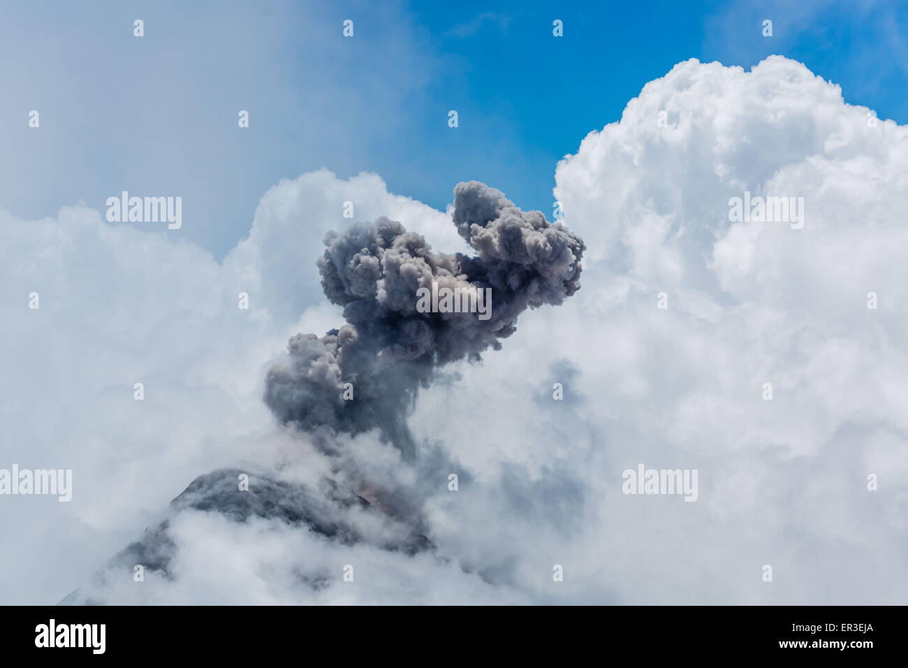 Ausbruch des Fuego Vulkans (3763 m) befindet sich in Antigua, Guatemala. Stockfoto