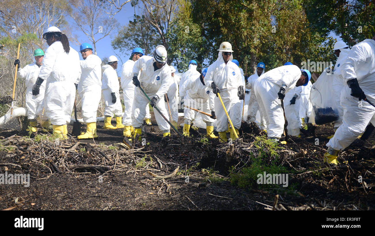 Besatzungen Aufräumarbeiten zu bereinigen, öligen Boden während Bemühungen zur 24. Mai 2015 aus der Pipeline-Pause in der Nähe von Rufugio State Beach in Santa Barbara, Kalifornien Schadensreduzierung. Mehr als 105.000 Gallonen Rohöl sickerte aus einer Pipeline in einem der schönsten Abschnitte der Küste des Staates. Stockfoto