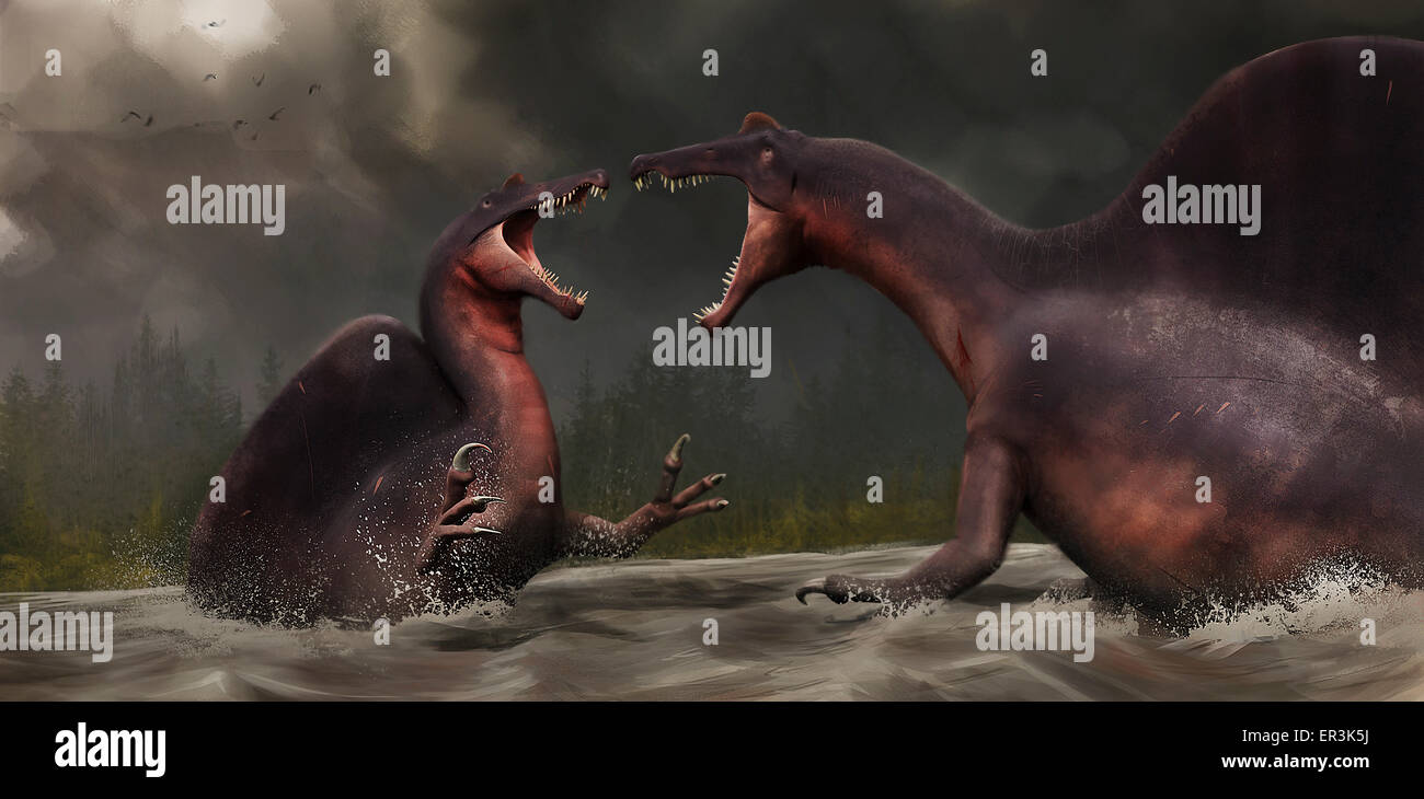 Konfrontation zwischen zwei Spinosaurus Aegyptiacus. Segeln Sie von Ibrahim nach neu beschriebenen Skelett rekonstruiert, vorgeschlagen von S. Stockfoto