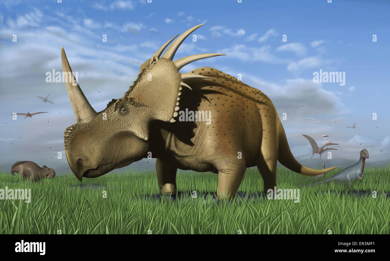 Gruppe der Dinosaurier, die auf einer Wiese weiden. Sichtbar sind