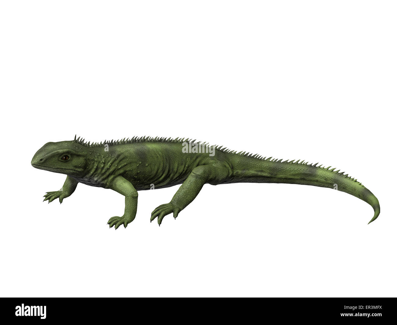 Gephyrosaurus ist eine ausgestorbene Rhynchocephalian aus der frühen Jurazeit von Wales. Stockfoto