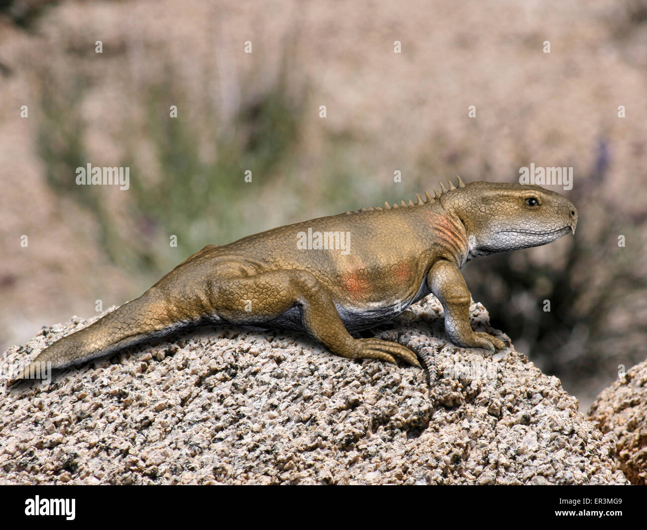 Priosphenodon ist eine ausgestorbene Rhynchocephalian aus der späten Kreidezeit. Stockfoto