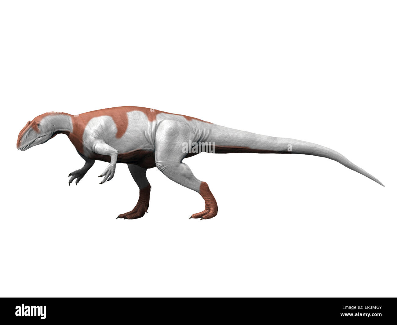 Yangchuanosaurus ist einem Theropoden aus der späten Jurazeit. Stockfoto