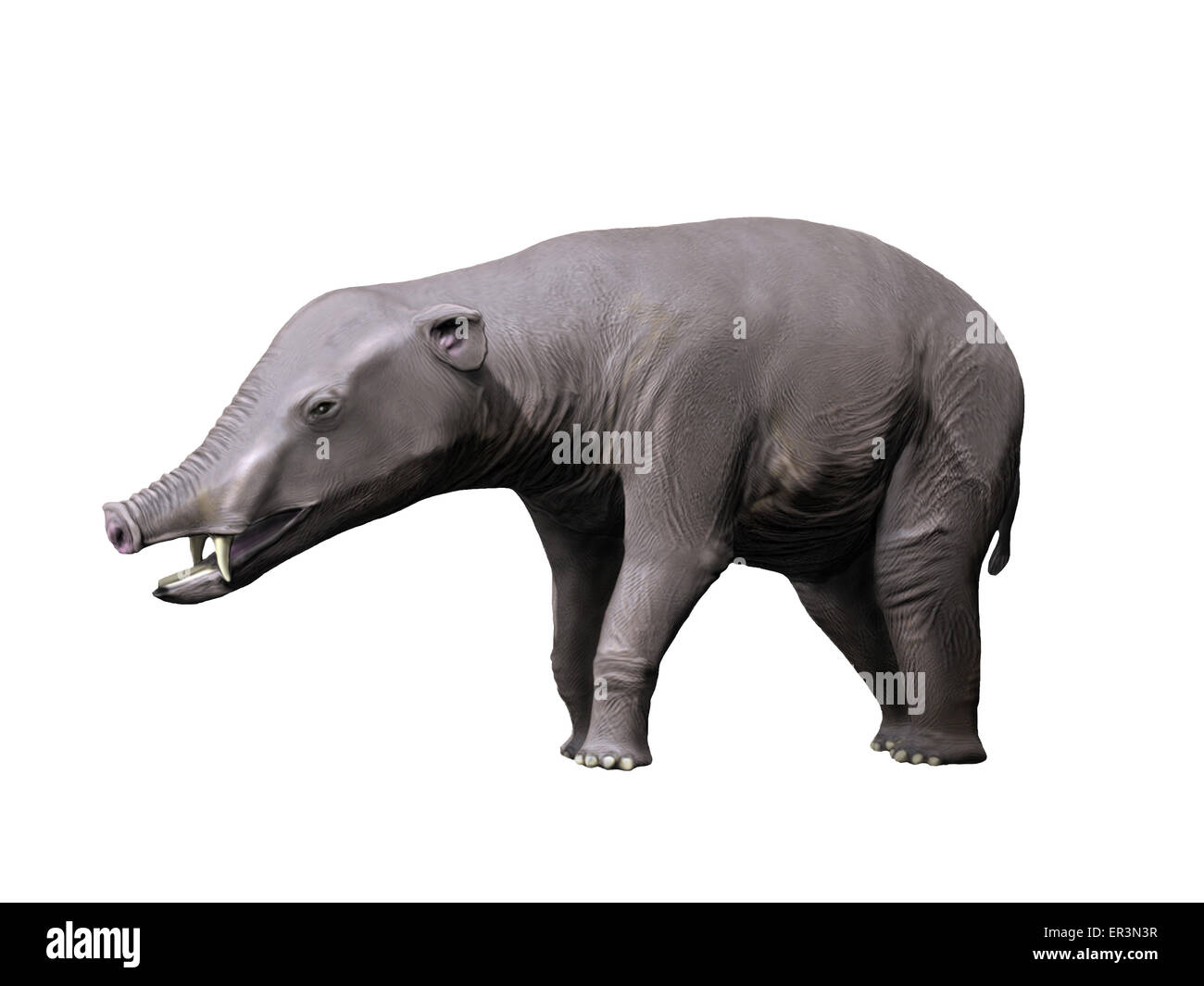 Oligocene epoch Fotos und Bildmaterial in hoher Auflösung Alamy