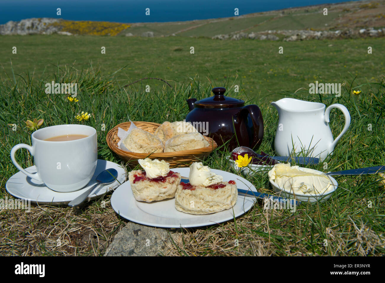 Traditionellen kornischen Sahne Tee mit Scones, kornische Gegeronnene Creme, Marmelade und tea.a UK Cornwall Essen Tee Essen Ofen backen Backen Stockfoto