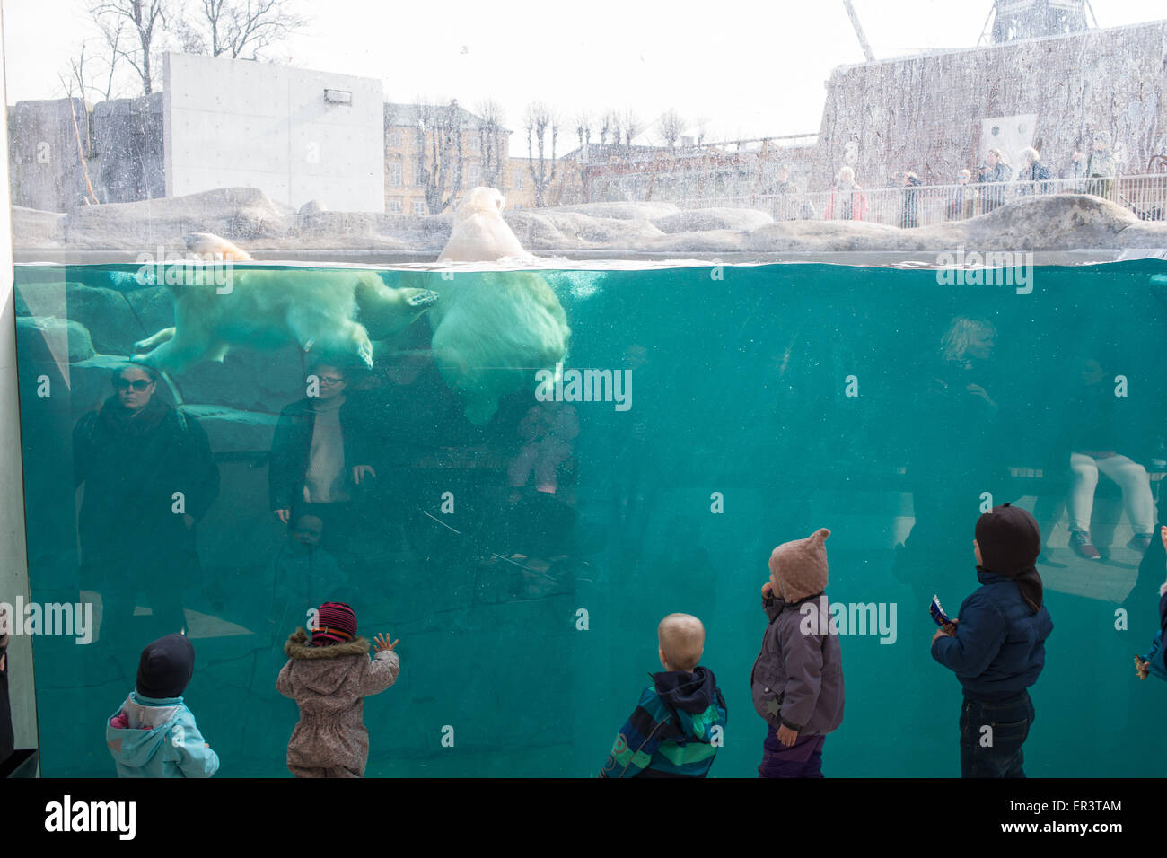 Eisbär-Gehege im Zoo von Kopenhagen mit Besuchern Stockfoto
