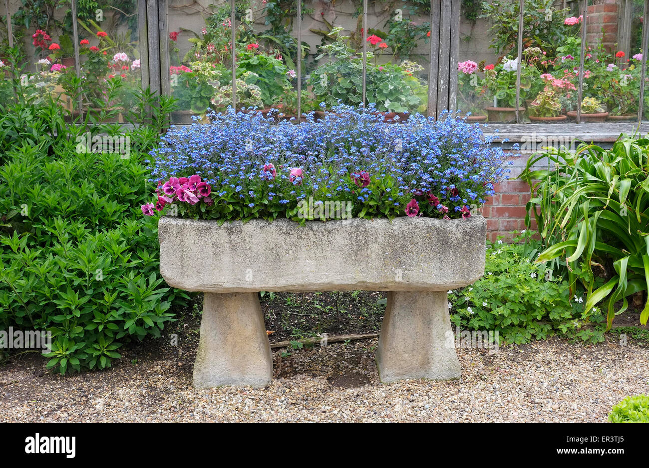 Pflanzen im alten Steintrog Garteneigenschaft, Norfolk, england Stockfoto