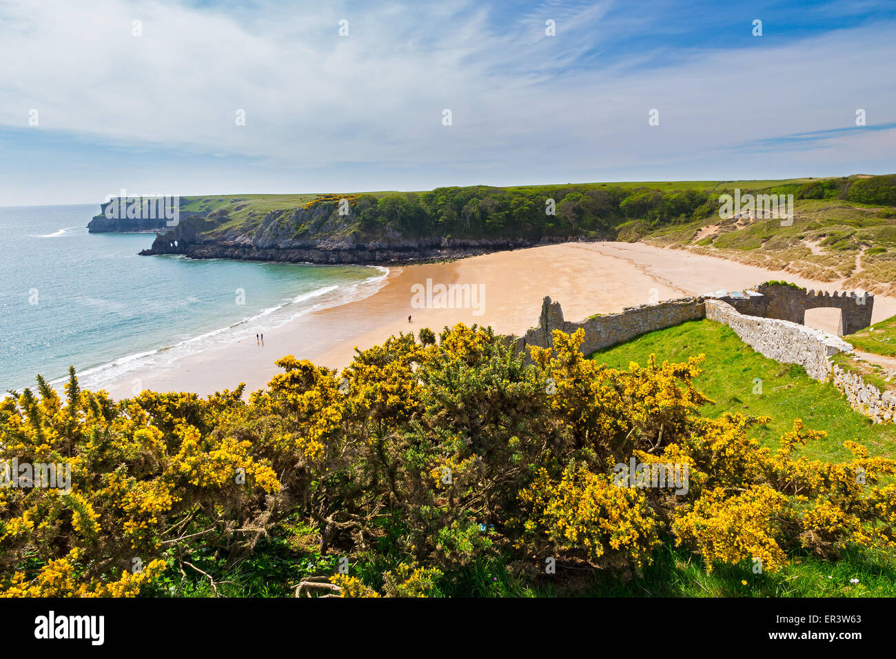 Mit Blick auf den schönen Strand an der Barafundle Bucht auf der Pembrokeshire Coast of South Wales UK Europe Stockfoto