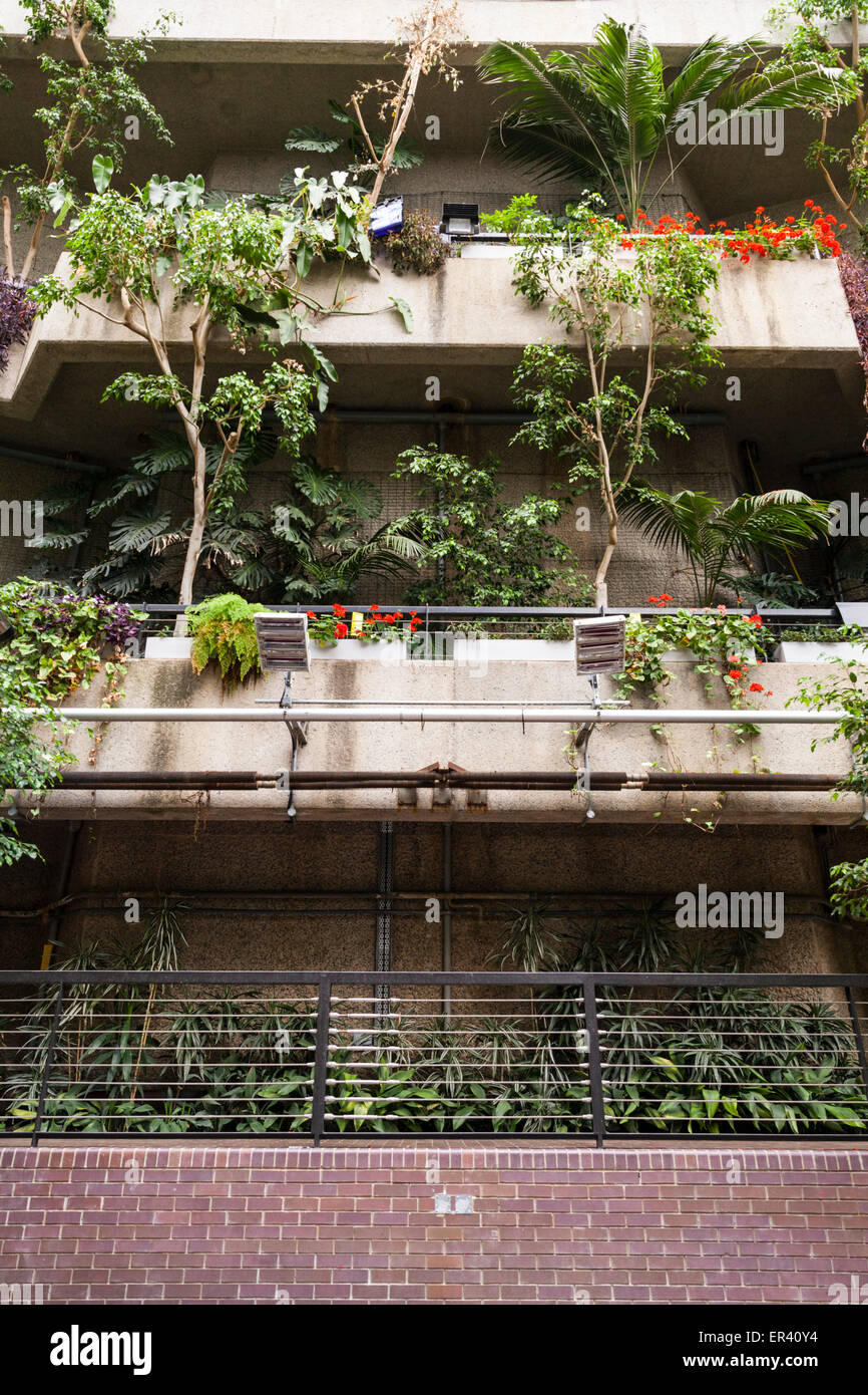 Die Barbican Wintergarten, Glasdach tropischen Gärten und Veranstaltungsort im Barbican Centre in London Stockfoto