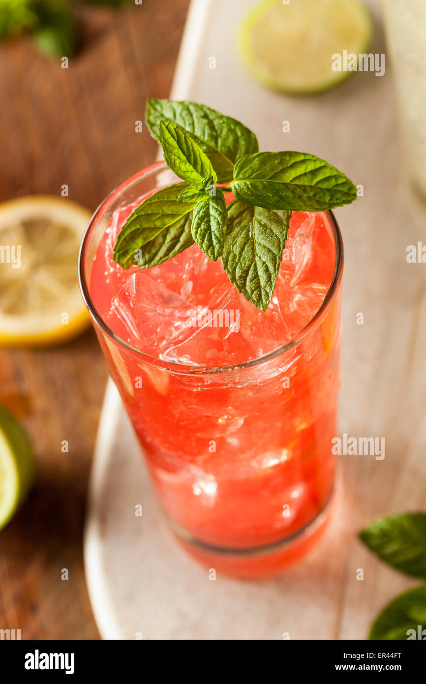 Bio frische italienische Soda mit grüner Minze Stockfoto