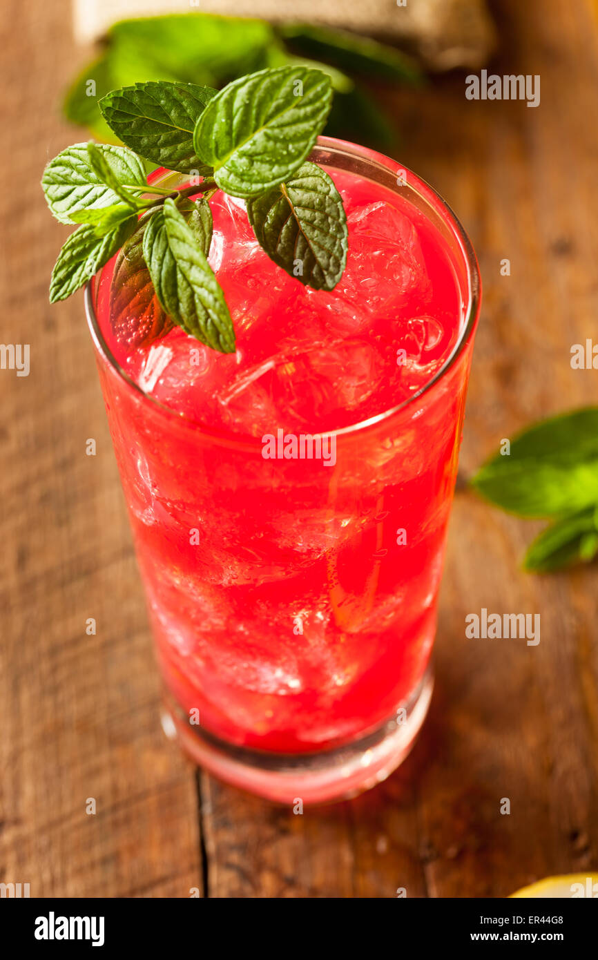 Bio frische italienische Soda mit grüner Minze Stockfoto